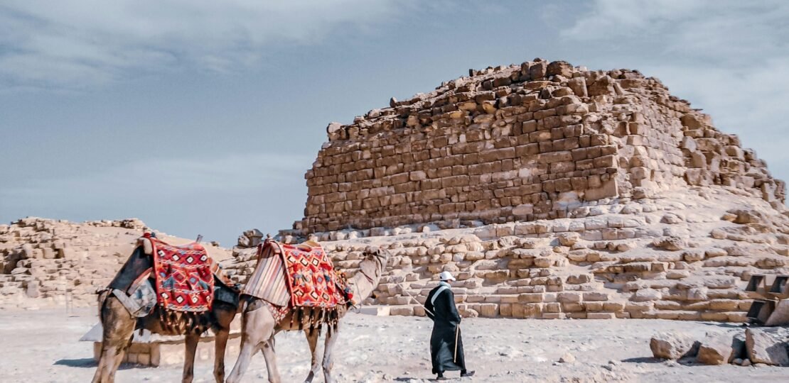 pexels-photo-14227569