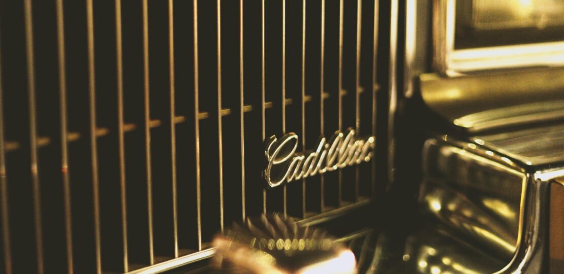 pexels-photo-14440464