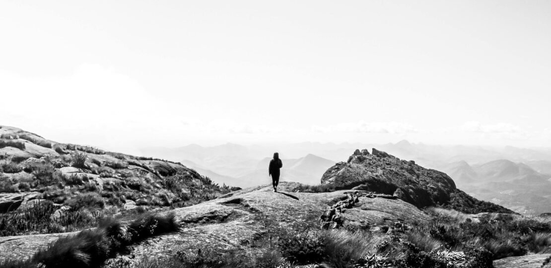 pexels-photo-14471392