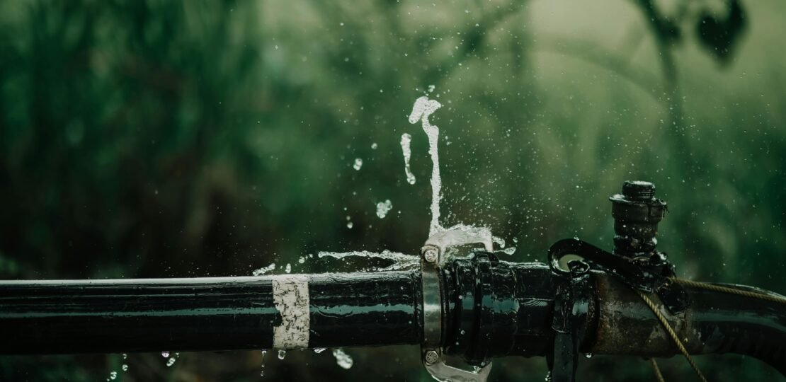 pexels-photo-18274115