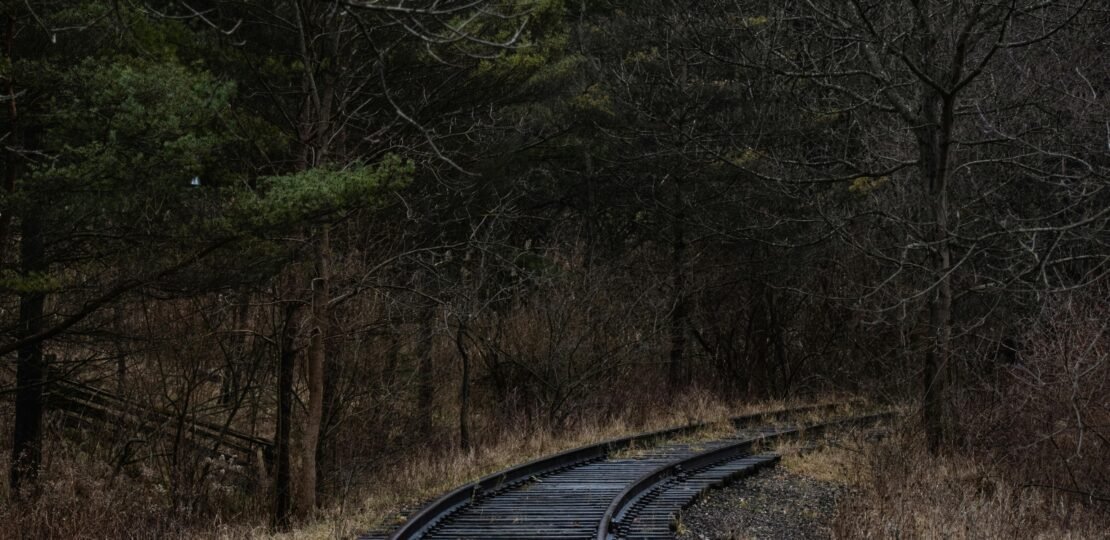 pexels-photo-30080669