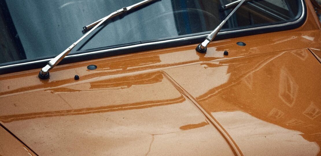 pexels-photo-30109910