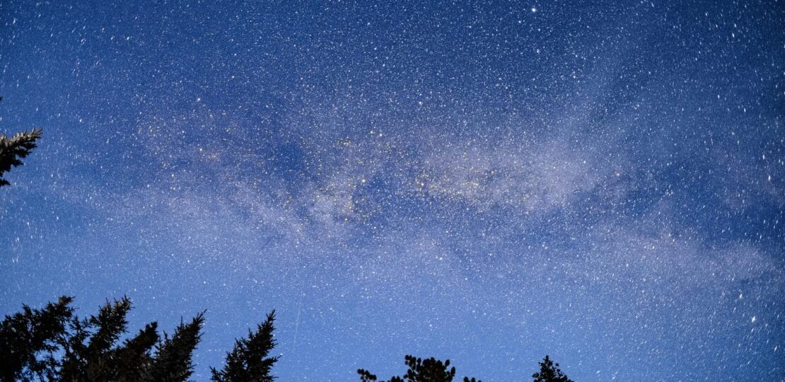 pexels-photo-9043451