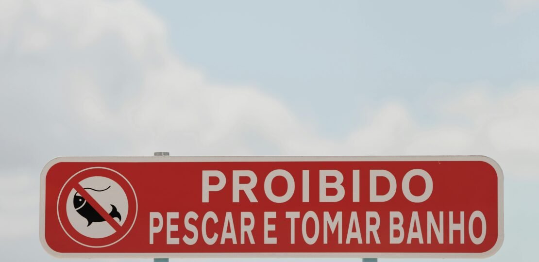 pexels-photo-29256284