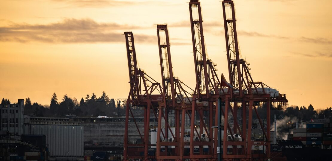 pexels-photo-11589779