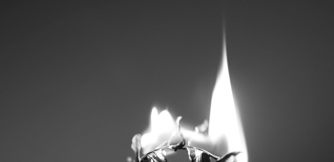 pexels-photo-16862403