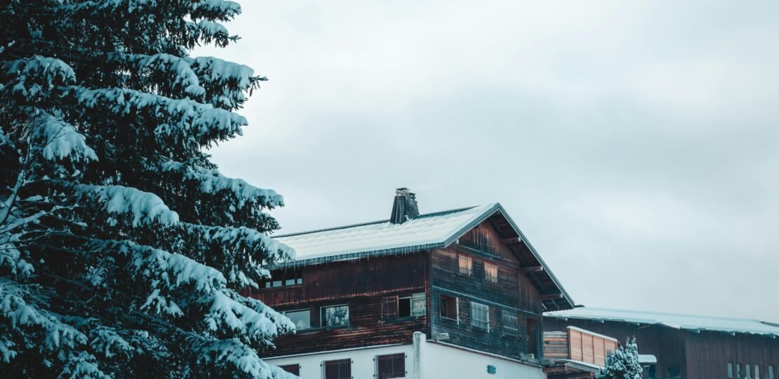 pexels-photo-19727180