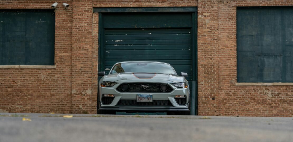 pexels-photo-29028969