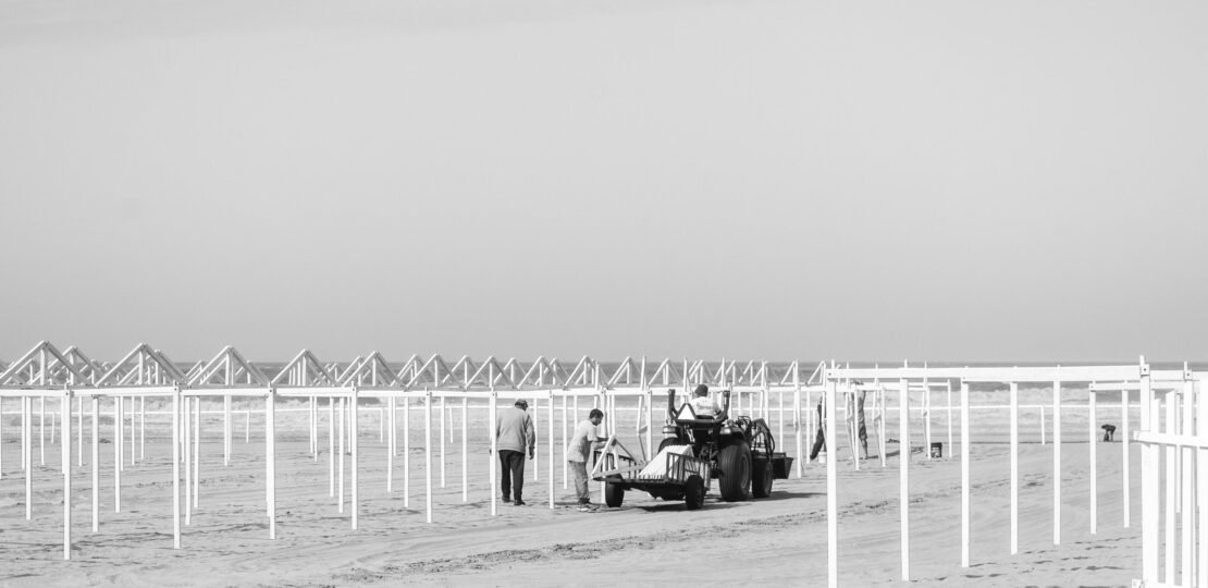 pexels-photo-31900235